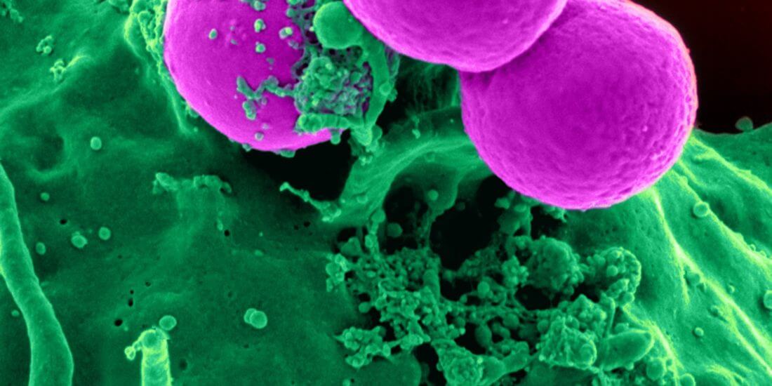 cell-human-science-45239-1-Custom-1100x550 cell-human-science-45239-1-Custom-1100x550